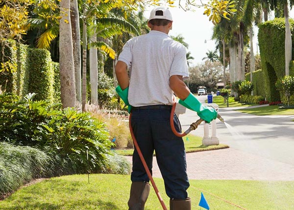 About Walton KS Pest Control